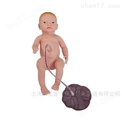 新生儿带胎盘护理训练模型-新生儿带胎盘模型-胎盘模型