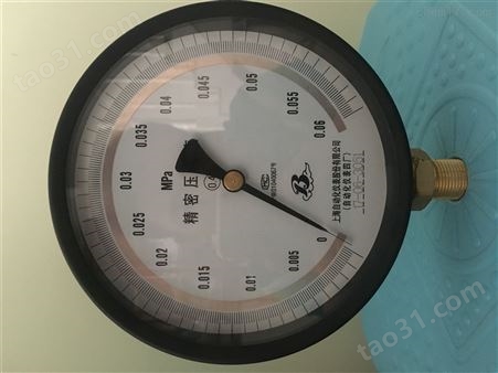 YB-100 、251精密压力表