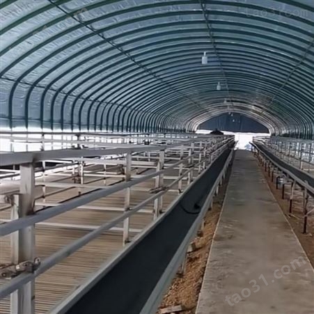 温室大棚猪舍的建设 肉鸡养殖大棚价格 腾飞养殖大棚 聚友信达qsf5JC型