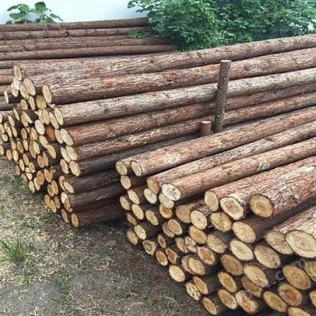 杉木桩图片 胜洁木业 2米杉木桩施工