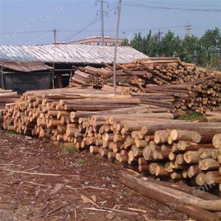 杉木桩图片 胜洁木业 2米杉木桩施工