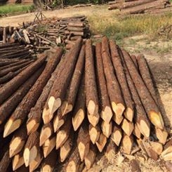 园林绿化杉木桩出售 10米杉木桩出售 胜洁木业