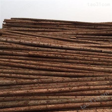 杉木桩尺寸 10米杉木桩图片 胜洁木业