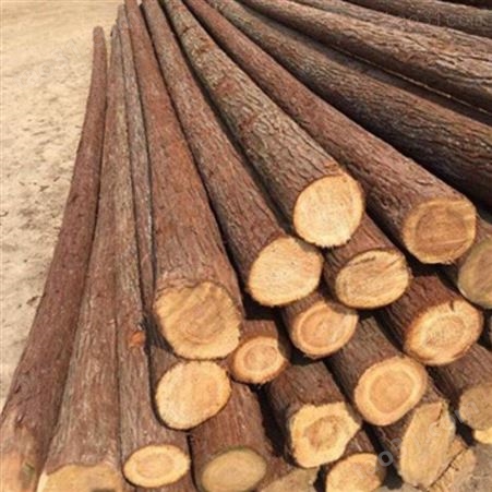 苏州杉木桩销售 景观杉木桩销售 胜洁木业