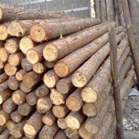 园林绿化杉木桩批发 防洪杉木桩直径 胜洁木业