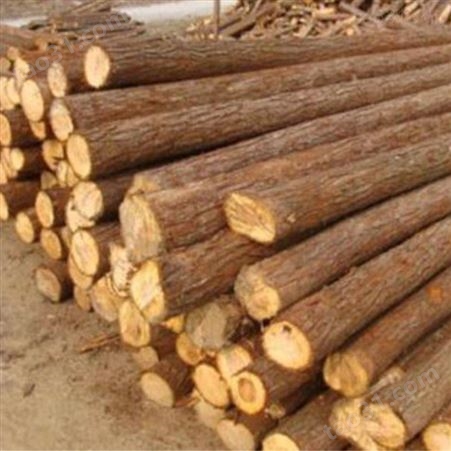 河道杉木桩直径 园林绿化杉木桩出售 胜洁木业