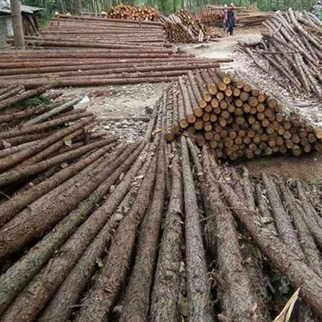杉木桩尺寸 10米杉木桩图片 胜洁木业