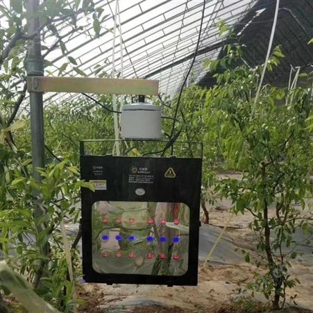 大棚作物长势好就用红皎阳植物补光灯G101 一亩地一个灯 一个月三度电西红柿草莓黄瓜专用补光灯