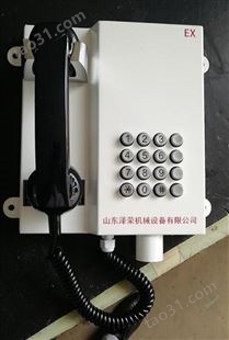 供应 华煤牌煤矿用IZH-2型 本安自动电话机