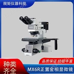 大视野自动对焦数码显微镜学生教学科研医学观察工业检测放大镜头