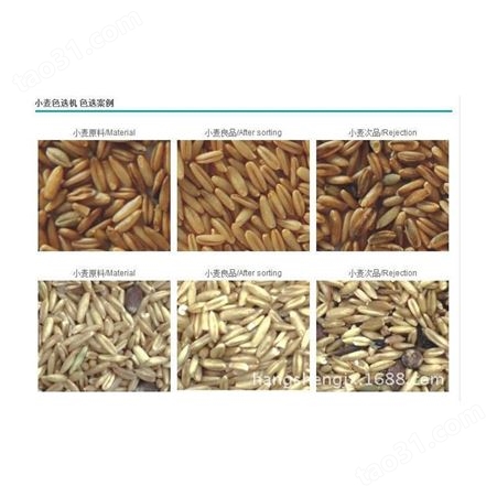 小麦色选机,小麦选杂 色选出小麦良品 麦厂用小麦色选机