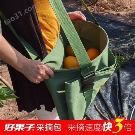 温州蜜柑采果子用的好果子采摘包多少钱一个