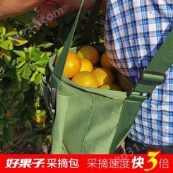 柑橘蜜桔采果子用的采果袋批发价格