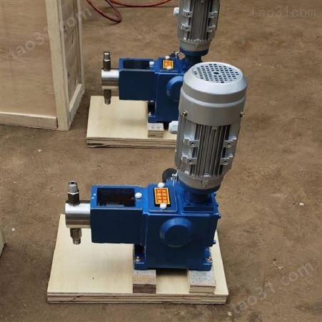 双缸计量泵 DZ柱塞式计量泵 柱塞式计量泵生产制造