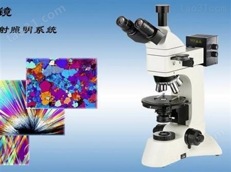 偏光显微镜SA-31XP透反射偏光显微镜
