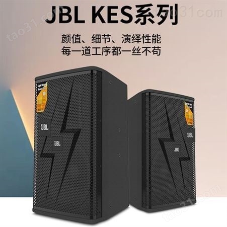 JBLKES710 新款10寸专业KTV全频娱乐音箱商务SPA会所专业音响