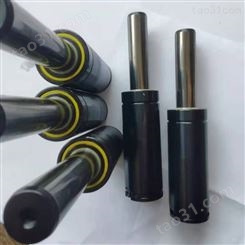 加工冲模氮气弹簧 生产氮气缸-上海凌祥金属制品有限公司