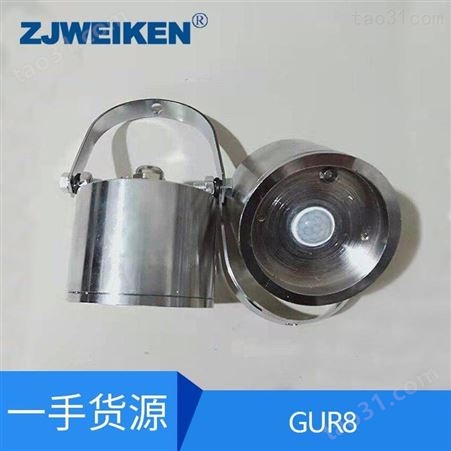 威肯-本安型热释红外传感器GUR8