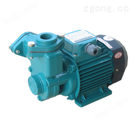 ZYB-300渣油泵